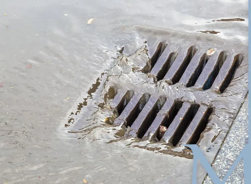 Storm drain taking runoff at the curb