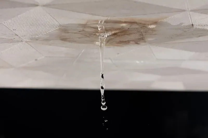 Pipe Condensation in Bethesda, MD: Why Cold Water Lines Sweat All Summer | Mallick Plumbing & Heating