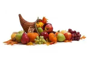 Quick Garbage Disposal Reminder for the Holidays