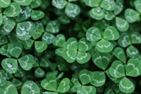 Choosing the Right Plumbing Company Shouldn't Be About Luck